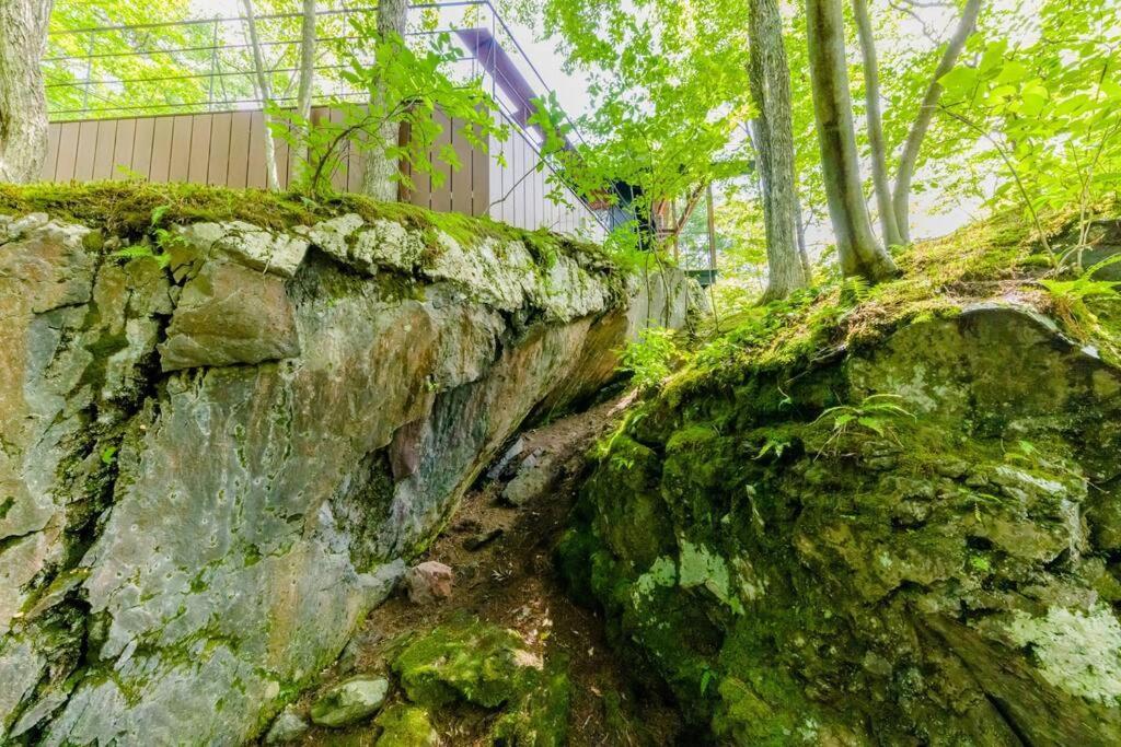 ロックフォレスト北軽井沢 Villa Екстериор снимка